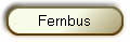 Fernbus