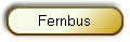 Fernbus